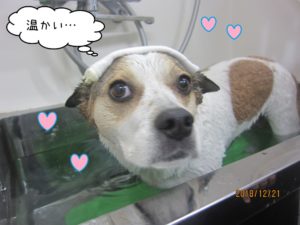 スパ中ミックス