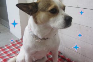 気分爽快ですミックス