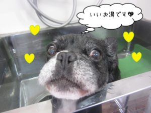 スパ中ミックス