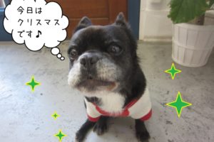 クリスマスミックス