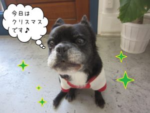 クリスマスミックス