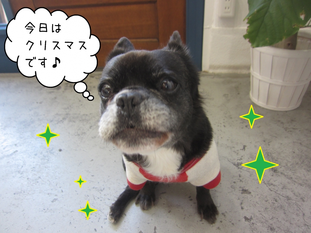 クリスマスミックス