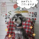 謹賀新年Mシュナ