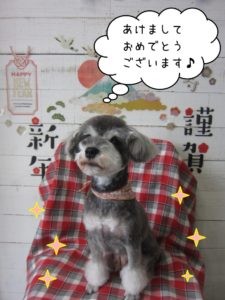 謹賀新年Mシュナ