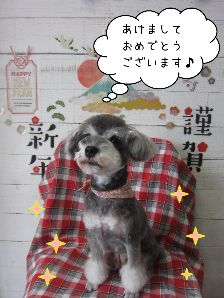 謹賀新年Mシュナ