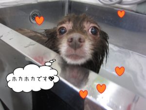 スパ中ミックス