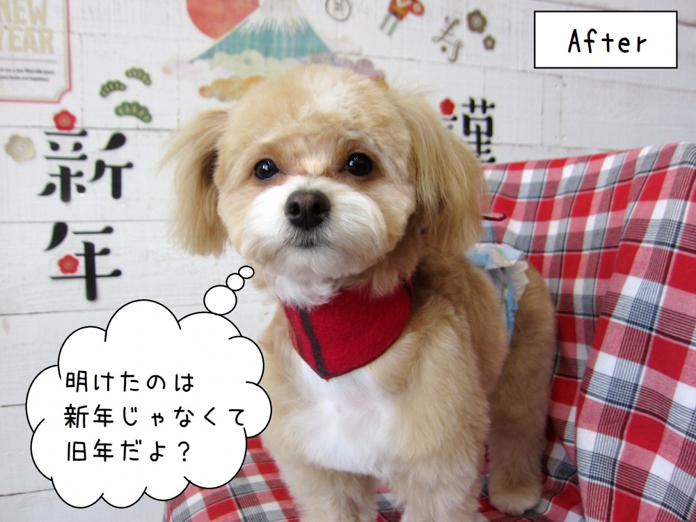 カット後ミックス