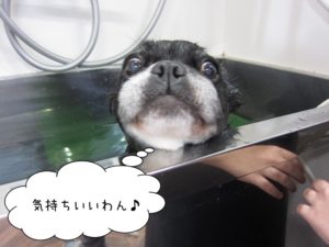 スパ中ミックス