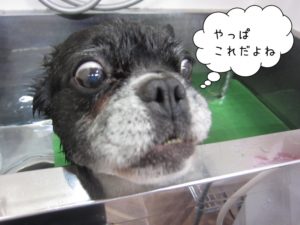 スパ中ミックス