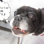 えっへんミックス