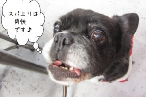 えっへんミックス