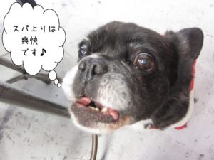 えっへんミックス