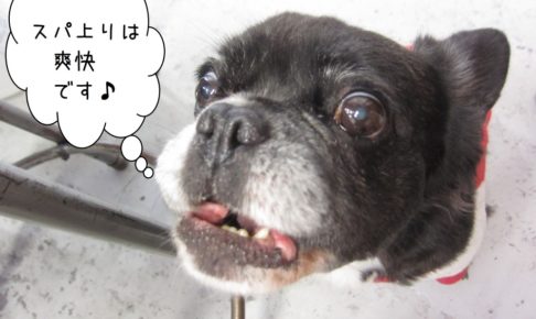 えっへんミックス