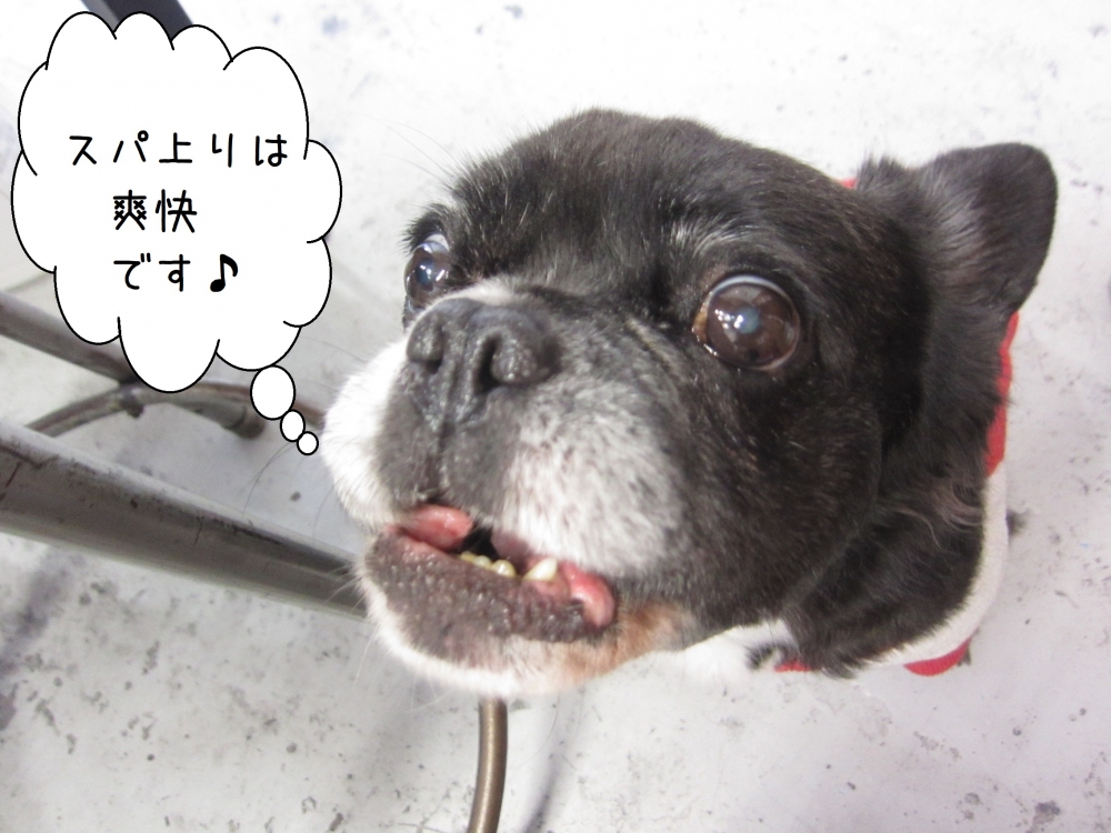 えっへんミックス