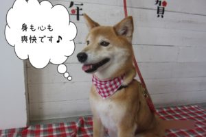 おすましミックス