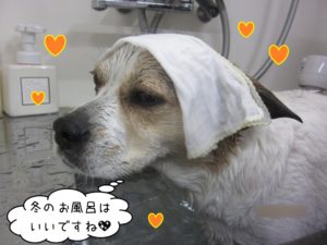 スパ中ミックス