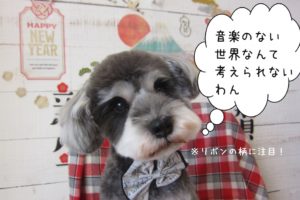 キョトンMシュナ