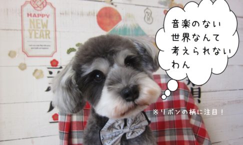 キョトンMシュナ