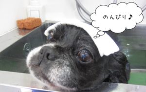 スパ中ミックス