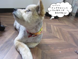 施術後ミックス