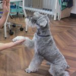 おかわりMシュナ