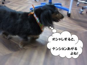 施術後カニンヘンダックス