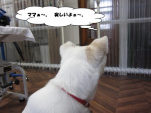 施術後ミックス