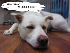 施術後ミックス