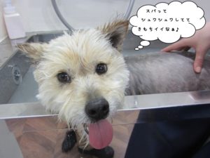 施術後ミックス