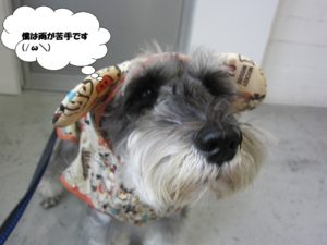 レインコートMシュナ