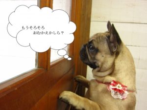 施術後ブルドッグ