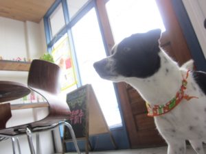 施術後ミックス