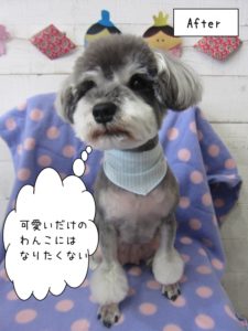 えっへんMシュナ