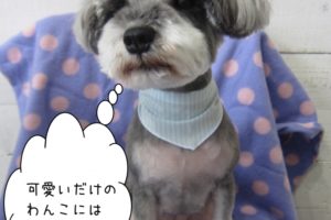 えっへんMシュナ