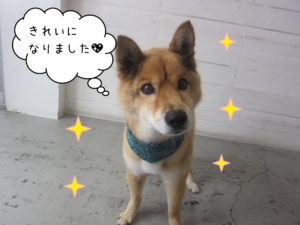 おすましミックス