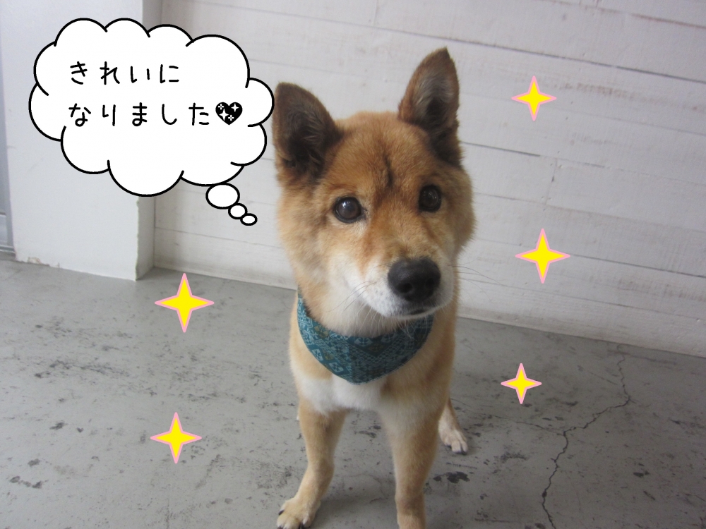 おすましミックス