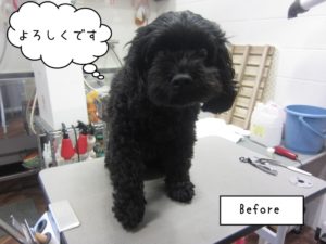 カット前ミックス