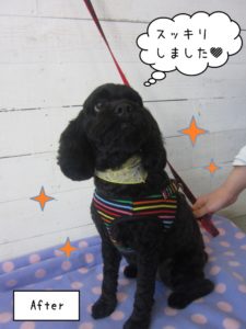 すっきり黒ミックス