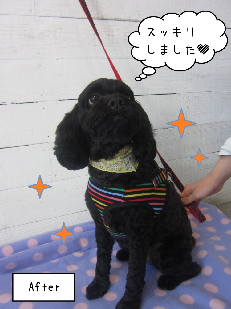 すっきり黒ミックス