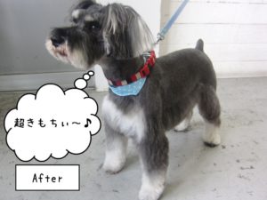 すっきりしたMシュナ