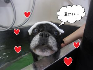 スパ中ミックス