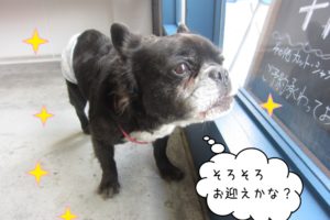 覗き込むミックス