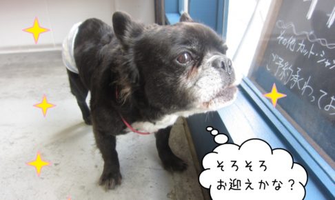 覗き込むミックス