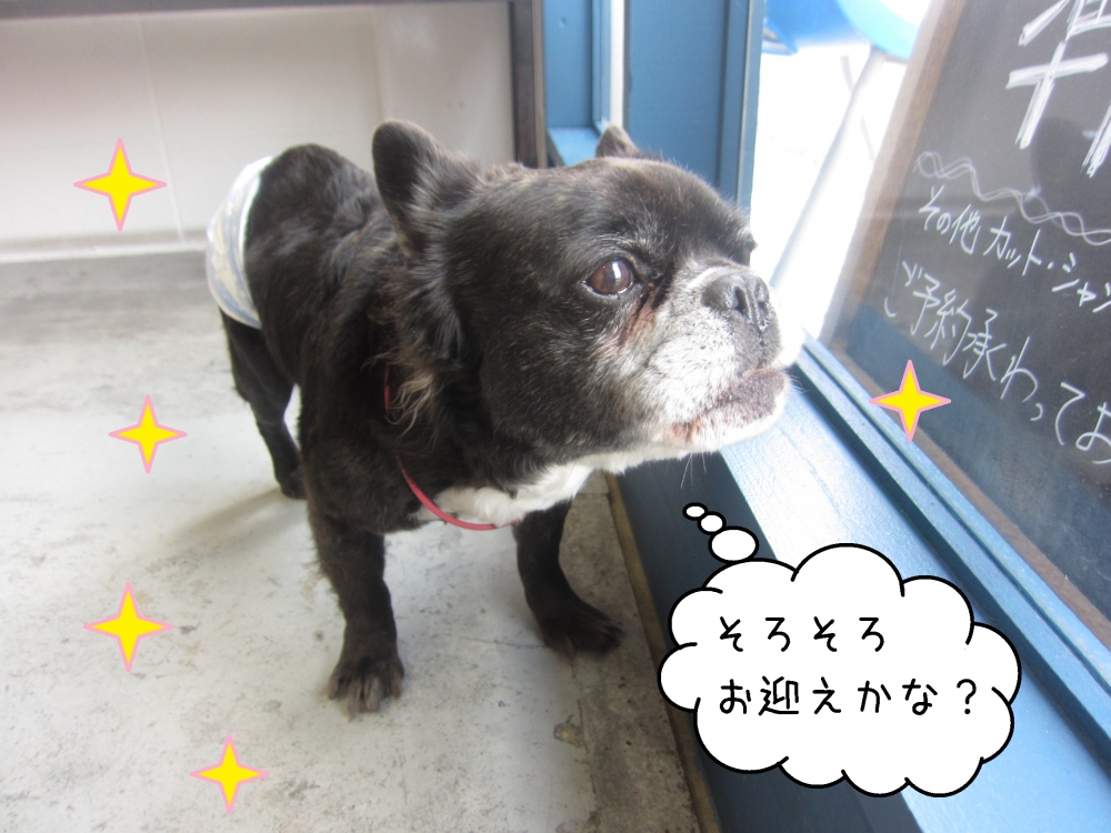 覗き込むミックス