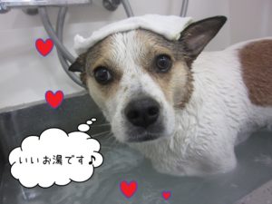 スパ中ミックス