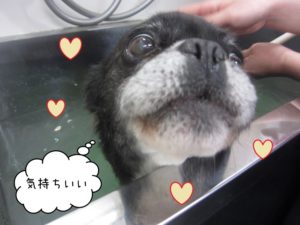 スパ中ミックス