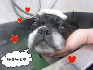 スパ中ミックス