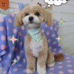 カット後ミックス