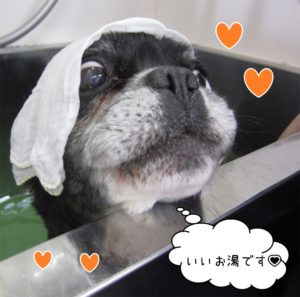 スパ中ミックス