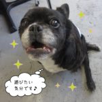 施術後ミックス